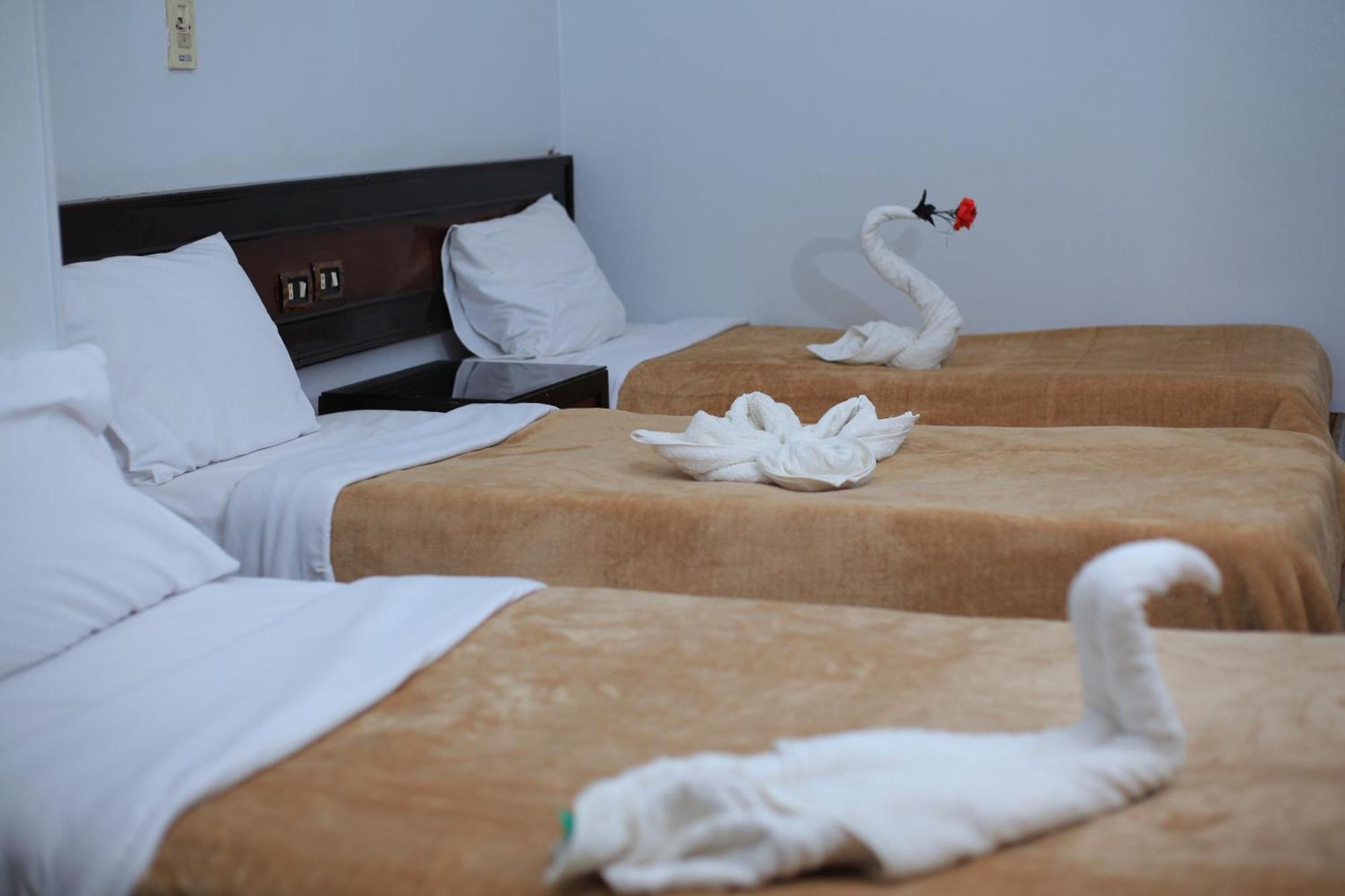 Oscar Hotel Asvan Dış mekan fotoğraf