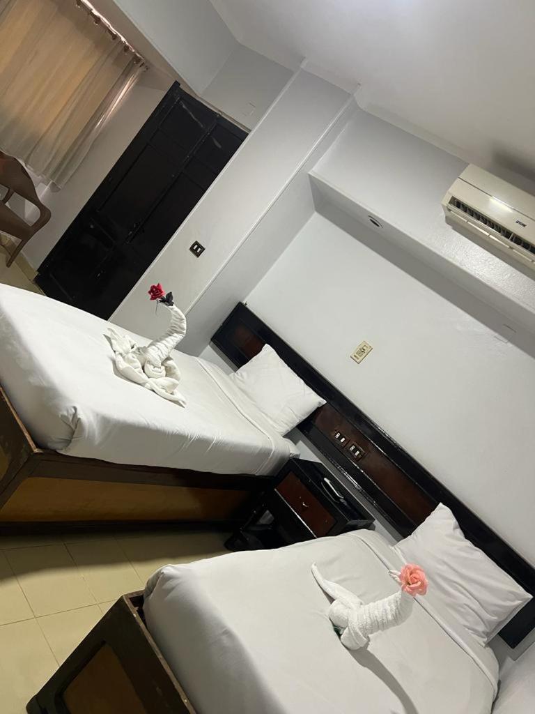 Oscar Hotel Asvan Dış mekan fotoğraf